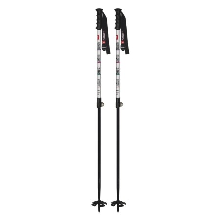 FREESKI 2P
